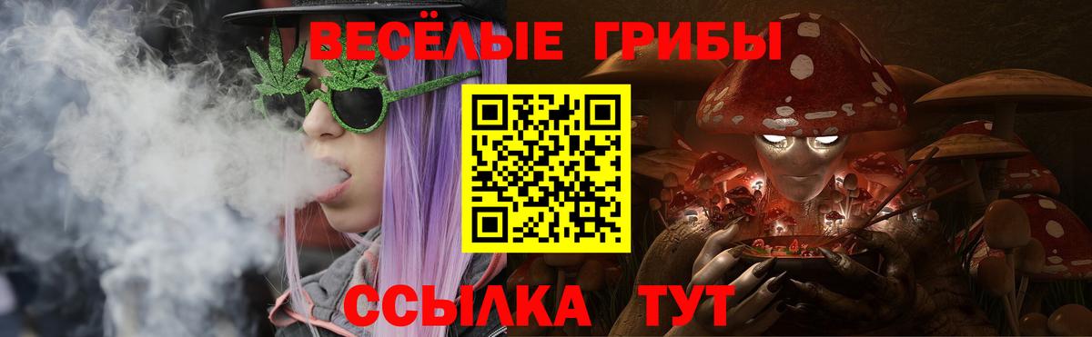 Псилоцибиновые грибы MAGIC MUSHROOMS  Вход с VPN  Апатиты  Галлюциногенные грибы Psilocybe 